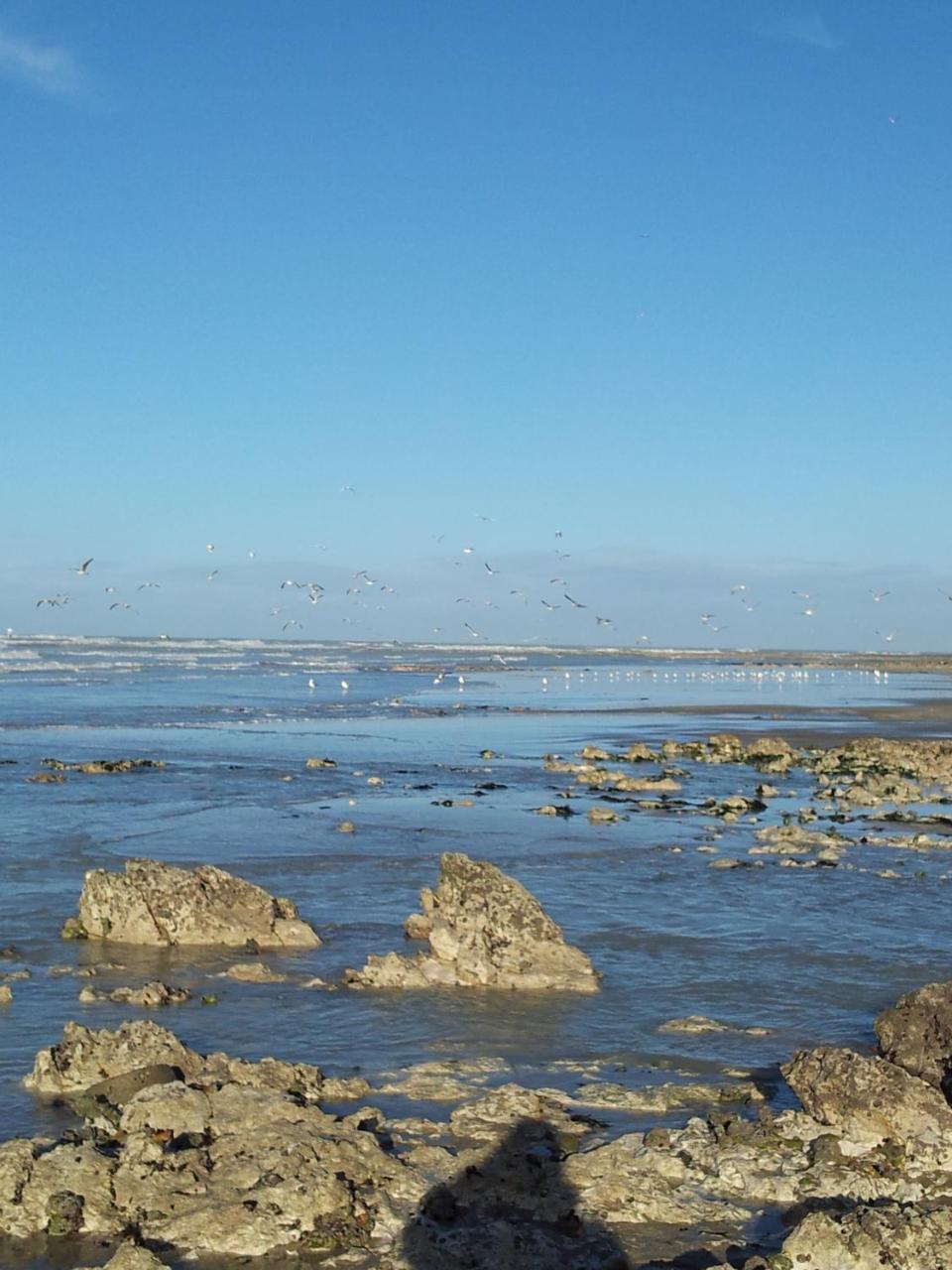 Camping Le Mont Joli Bois Criel-sur-Mer Luaran gambar